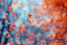 Petal Flowers Confetti Falling From A Bright Blue Sky On An Autumn Or Spring Professional Photography