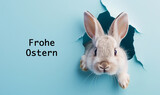 Fototapeta Sypialnia - fluffy eared easter bunny peeking out of a hole in blue wall, happy easter concept