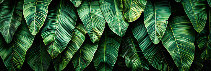 Exotic Green Leaves and Palm Patterns, Abstract Nature Background, Bright Tropical Foliage Design Concept