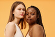© AnnaStills - Medium closeup studio portrait of self-confident ethnically diverse girlfriends in underwear looking at camera, warm apricot background