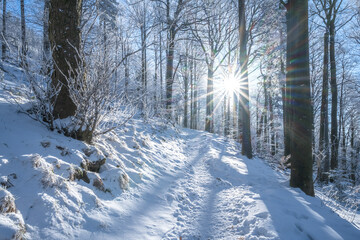 Wall Mural - Snowy winter landscape with forest, road and sun with sun rays