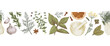 Hand drawn herbs and spices arranged in seamless decorative line. Culinary illustration