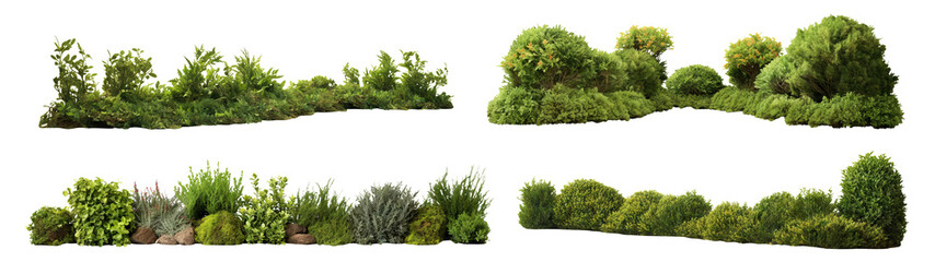 Poster - Set of lush garden bushes cut out