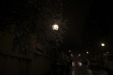 Wall Mural - Street in the city at night