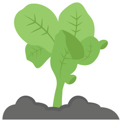 Poster - Lettuce plant flat icon design 