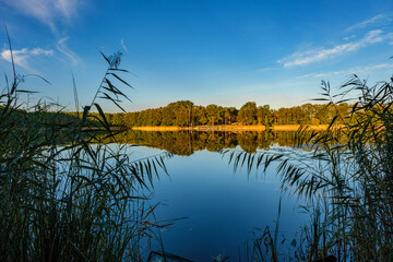 Wall Mural - Natural landscape of the lake, high definition, the movement of waves against the background of the autumn forest. The reflection of clouds on the ripples of water. Germany.