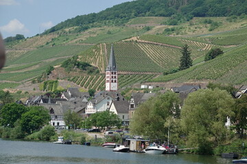 Canvas Print - Zell-Merl an der Mosel