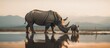 illustration of a black rhino in a shallow river