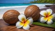 Coconuts and plumeria flowers on a tropical beach