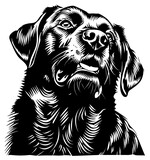 Fototapeta  - black and white illustration of dog