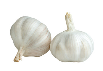 Sticker - fresh garlic isolated