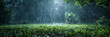 Raindrops fall on the asphalt and green grass. Beautiful forest scene in rain forest river background, 

