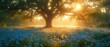 a tree in a field of blue flowers with the sun shining through the trees