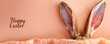 The hare's sticking out of the hole on a peach background. Banner with empty space for text 