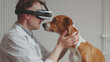 Veterinarian cares for animals, healing and comforting with expertise and compassion with pro virtual reality sunglass