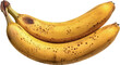 Bananas isolated on white, banana PNG transparent, realistic banana ripe fruit no background, fruit graphic recourses