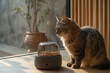 A curious cat inspects a modern automatic feeder with an indoor plant backdrop.