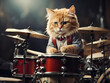 © Александр Ковалёв - Beautiful cat dressed like a person with drums
