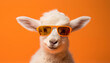 white goat with sunglasses, isolated on orange color background