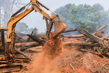 Wall Mural - Construction of residential complex is being prepared by excavators tractors uprooting trees