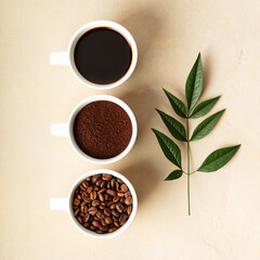 Poster - Coffee Beans, Ground, and Brew Stages Top View