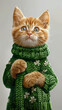 Beautiful ginger striped kitty in a green sweater begs for attention
