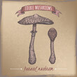 Macrolepiota procera aka parasol mushroom color sketch on vintage background. Edible mushrooms series.