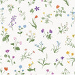 Gentle botany. Spring flowers. Seamless pattern. Vintage vector floral illustration. Colorful
