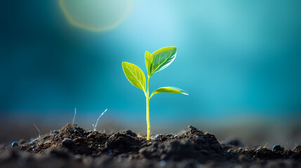 Planting young trees sprouting in soil on green background network and connection concept