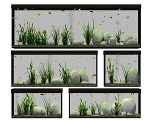 Set of aquariums or fish tanks with deco, fishes, water and glas isolated transparent background