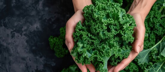 Aufkleber - Organic vegetables Farmers hands with freshly harvested vegetables Fresh organic kale. with copy space image. Place for adding text or design