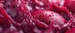 Extreme Closeup of Purple Beets Juice Texture. with copy space image. Place for adding text or design