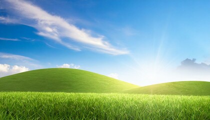 Landscape view of green grass field with blue sky background. 