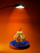 © RooM The Agency - Spotlight over a pumpkin floating above a plate
