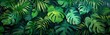 Banner green background, exotic tropical leaf green  and atmospheric sunlight rays.