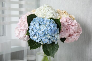 Canvas Print - Beautiful hydrangea flowers in vase indoors, closeup