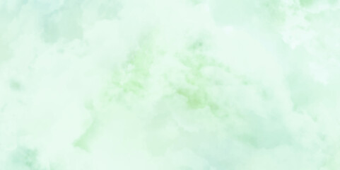 Wall Mural - abstract watercolor background. soft light background.  green white background texture