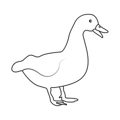 Poster - duck outline design isolated on white. line art drawing vector illustration.