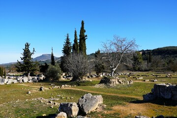 Wall Mural - View of the ancient Nemea archaeological site. The trees show the excavation depth