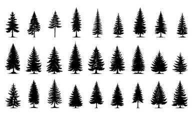 Wall Mural - Set of Pine Trees, art element for architectural landscape and arts.