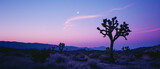 Fototapeta  - A cactus tree stands against a purple sky during dusk in the natural landscape