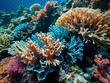 Coral bleaching linked to elevated sea temps: Loss of symbiotic zooxanthellae threatens Pacific reef. Elevated sea temps endanger Pacific reef