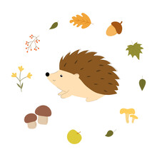 Cute Hedgehog Character. Vector Illustration In Flat Design. Hedgehog With Mushrooms, Apple, Leaves, Acorn. 
