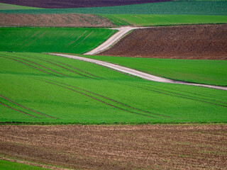 Canvas Print - Ackerbau in hügeliger Landschaft