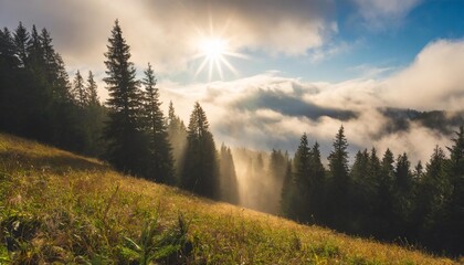 Wall Mural - sun light through fog and clouds above the forest spruce trees on the hill viewed from below magical nature scenery in autumn beautiful morning dreams concept