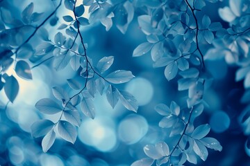 Wall Mural - blue leaves on a blue tree background