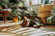 Chat tigré allongé par terre dans le salon et dormant