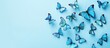 Blue butterflies on a light solid background