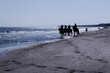 Group of people riding horses on the beach against clear sky