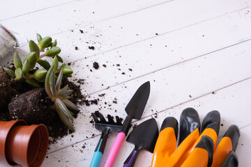 Wall Mural - Home gardening concept. Home plants and the soil, pots and gardening tools flat lay, top view